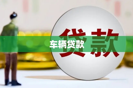 礼县车辆贷款