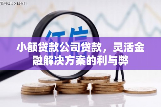 海原小额贷款公司贷款，灵活金融解决方案的利与弊